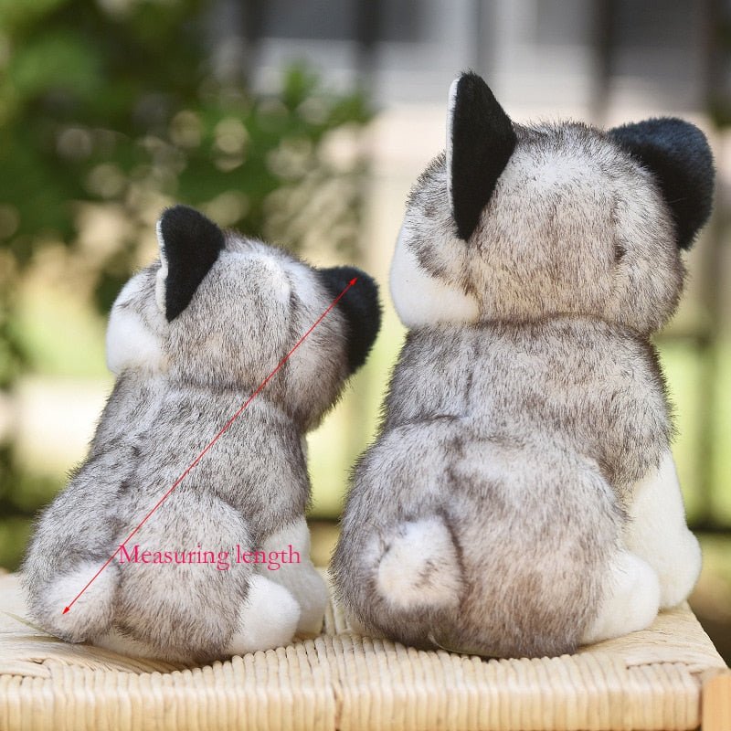 Cachorro Husky Siberiano em Pelúcia -18 a 30 cm