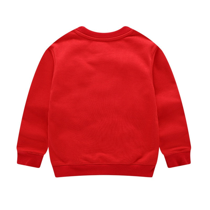 Blusa Moletom Manga Longa - 2 a 7 anos