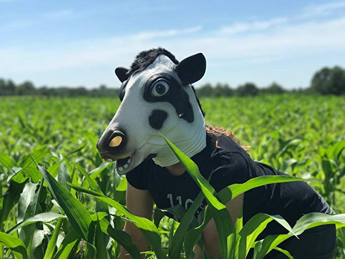 Máscara de Vaca