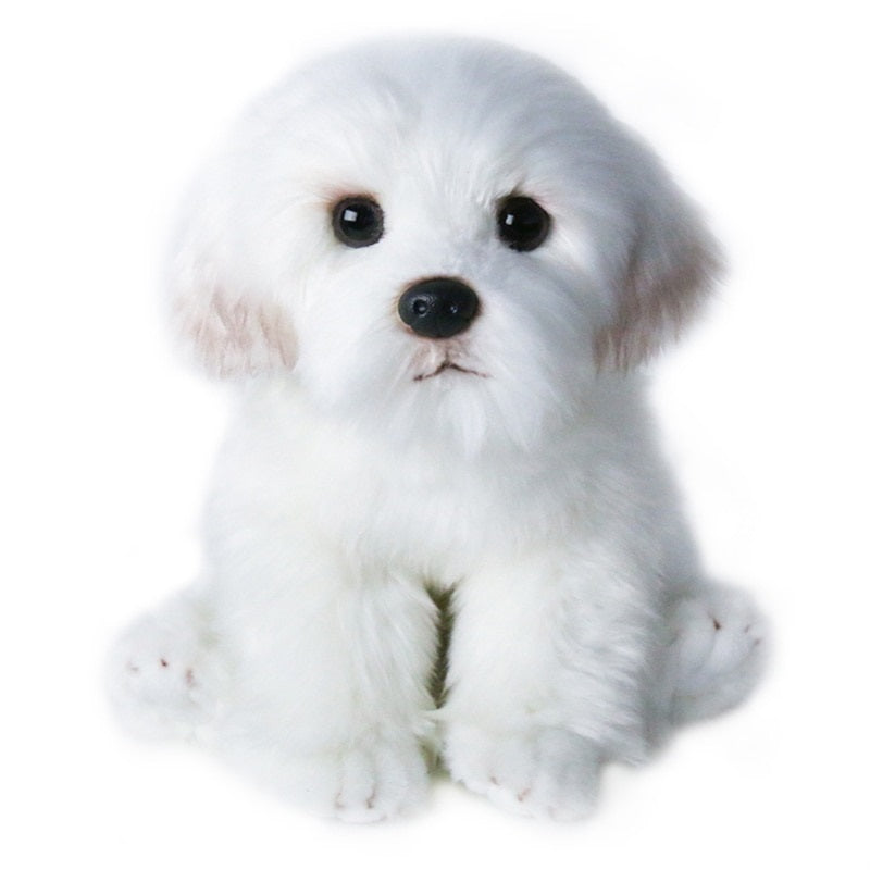 Cão Maltês em Pelúcia - 24 a 28 cm