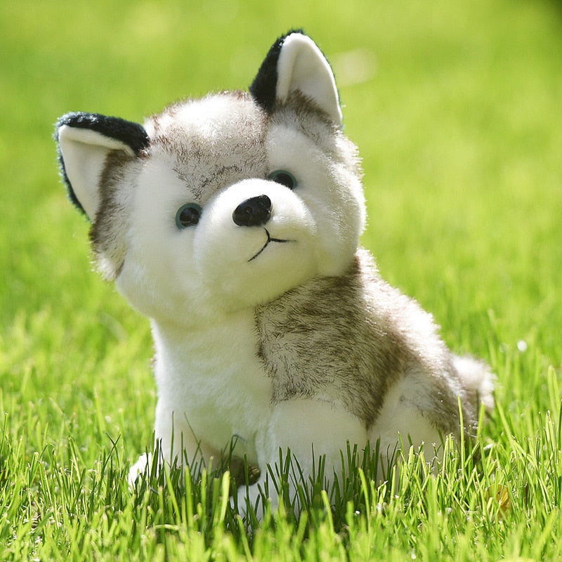 Cachorro Husky Siberiano em Pelúcia -18 a 30 cm